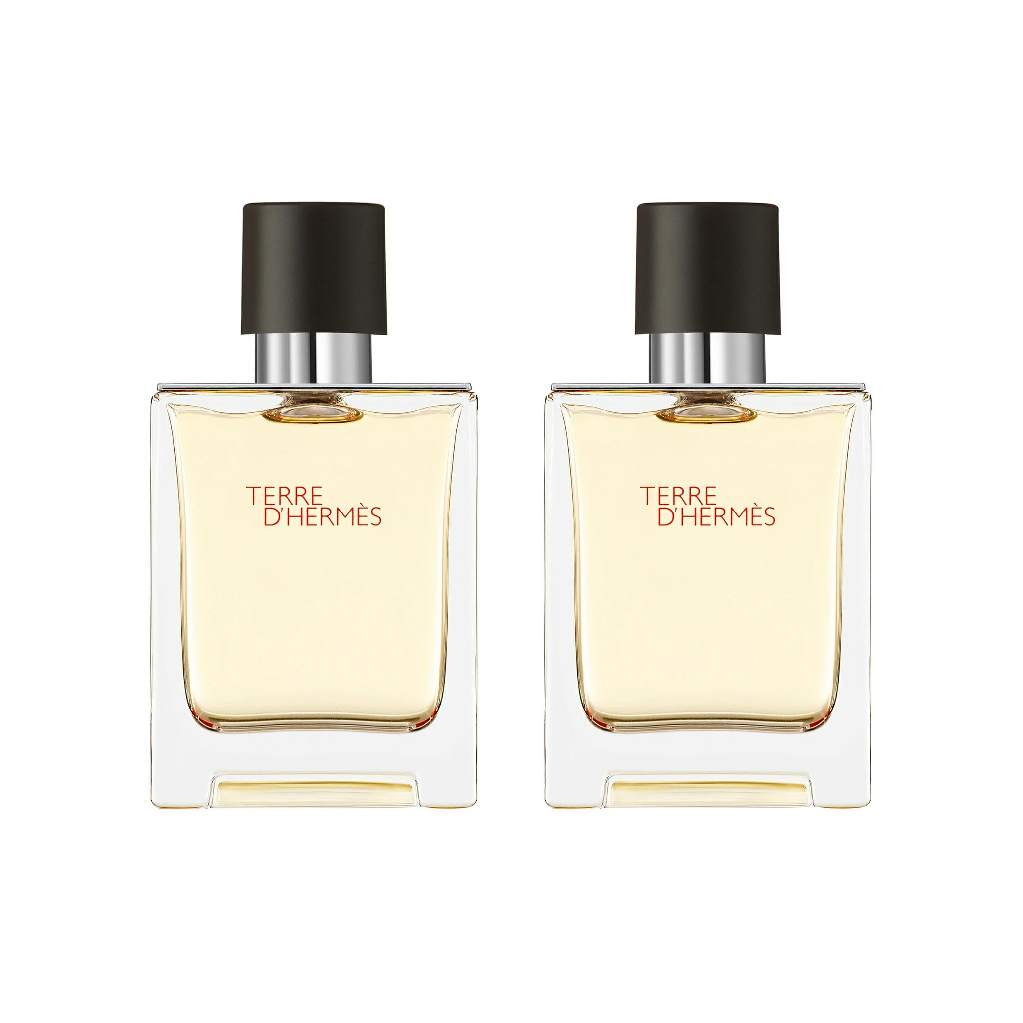 Hermes Terre D'Hermes EDT x2